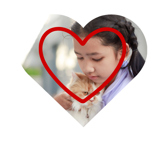  Cat wellness and Groomer support from Jared the Cat Groomer in Vancouver, WA