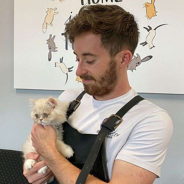 A person holding a fluffy, light-colored kitten, looking down at it with a gentle expression.