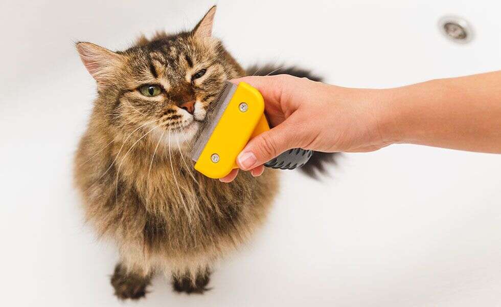 A fluffy long-haired cat being brushed with a yellow grooming tool.