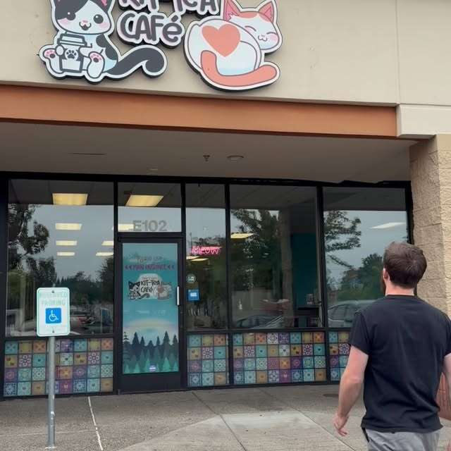 A person walking toward the entrance of a café with cat-themed signage and colorful window decorations.
